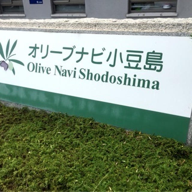 香川県　小豆島　オリーブ