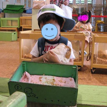 お気に入り