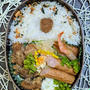 『ガリ』はどうなんだ～夫のお弁当294
