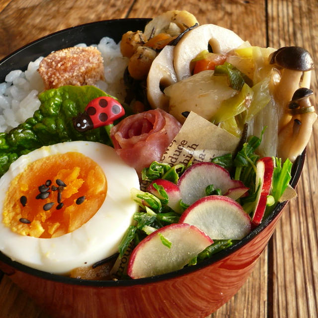 揚げ出し豆腐風弁当♪