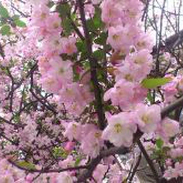 3/30 無事終了♪