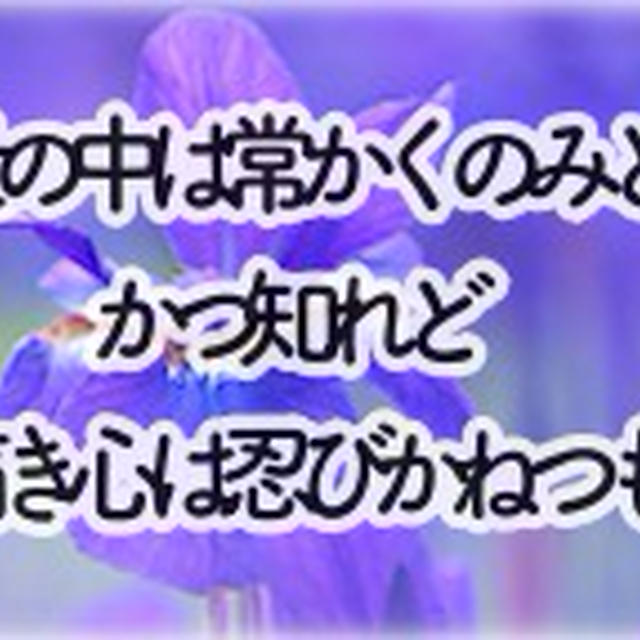 あれから1ヶ月、彼女は 天国へ旅立ちました・・・