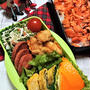 【息子弁当】ヒリヒリやみつき！ご飯がススム2連発！【鶏ささみのヒリヒリみぞれ煮とたっぷり鮭弁当】