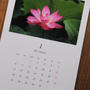 2014年蓮花カレンダー（A4サイズ、A3サイズ）