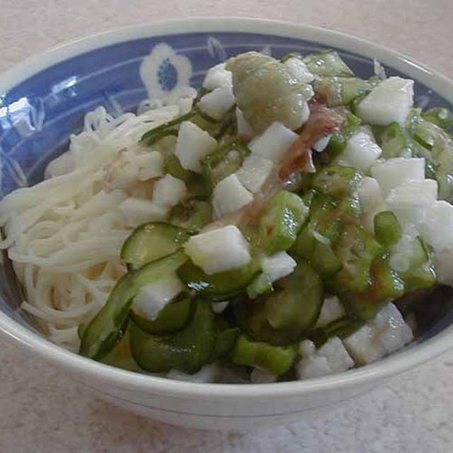ぶっかけとろとろ素麺