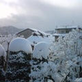 降り続く雪