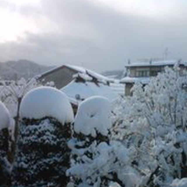 降り続く雪