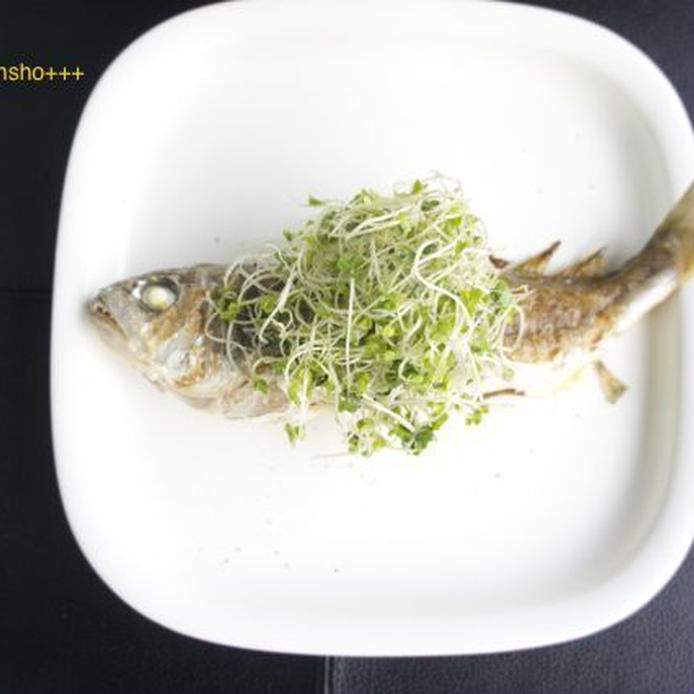 「イシモチ」ってどんな魚？その魅力とおすすめレシピ10選の画像