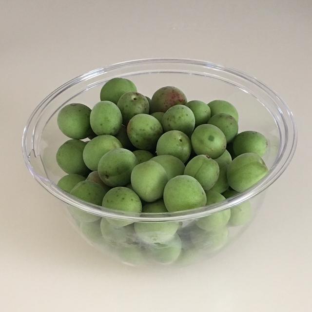 梅の季節になりました♡