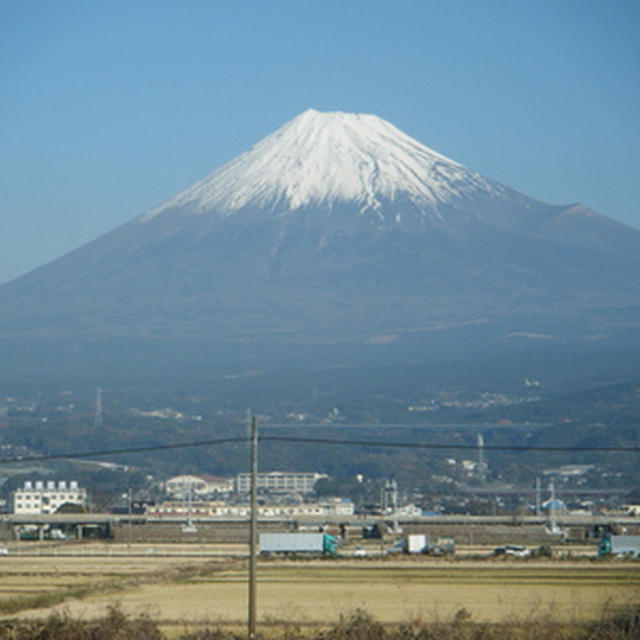 沼津にて