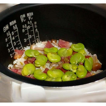 旬ごはん♪産地直送の無農薬野菜（そら豆・実エンドウ・スナップエンドウ・新ニンニク）豆三昧の夜