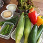 夏野菜で楽しむ発酵和食