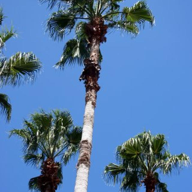 Back from Vacationバケーションから戻る。。。