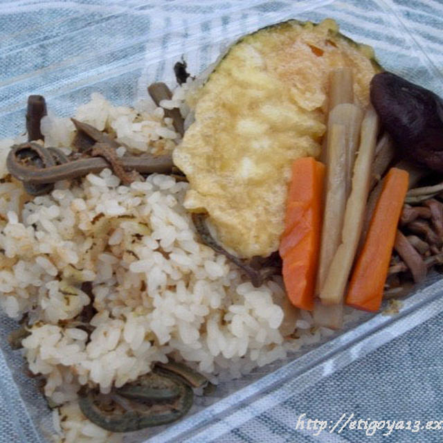 蕨とこごみおこわ弁当