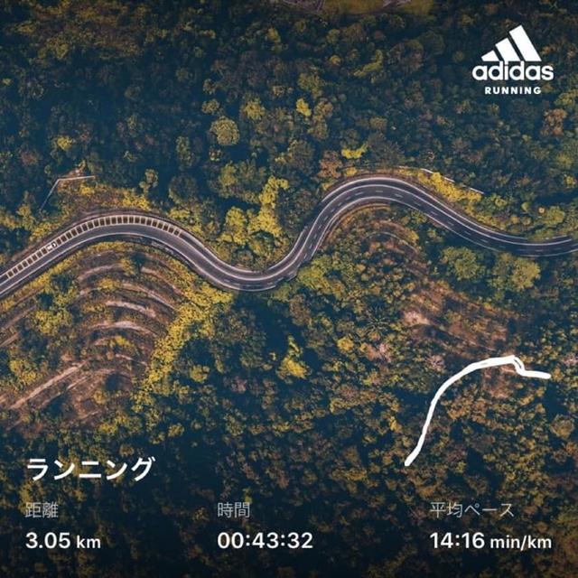 神田川ジョギング