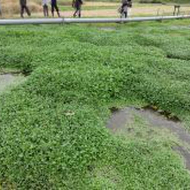 【大分に行ってきました〜】