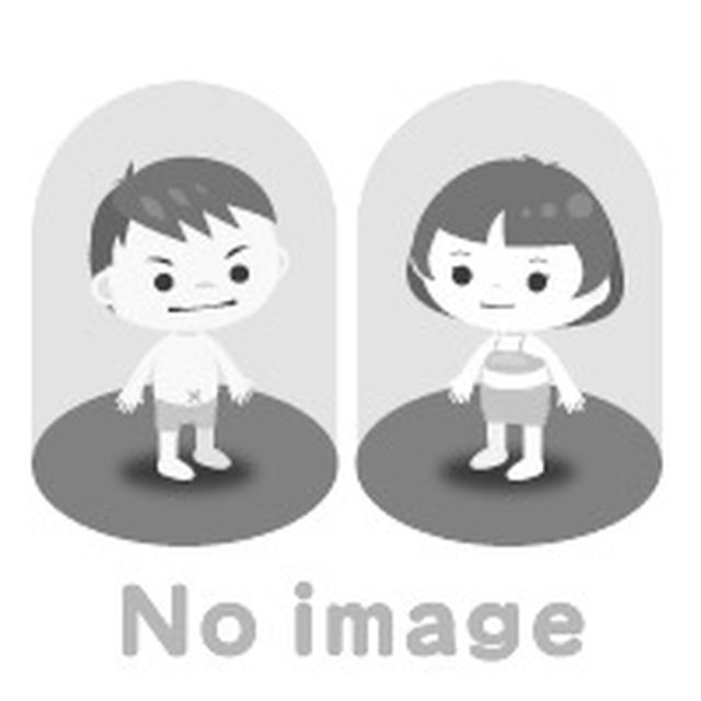 モッチモチもち米シュウマイ