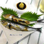 味が凝縮されてとっても美味しい♪鰯の干物