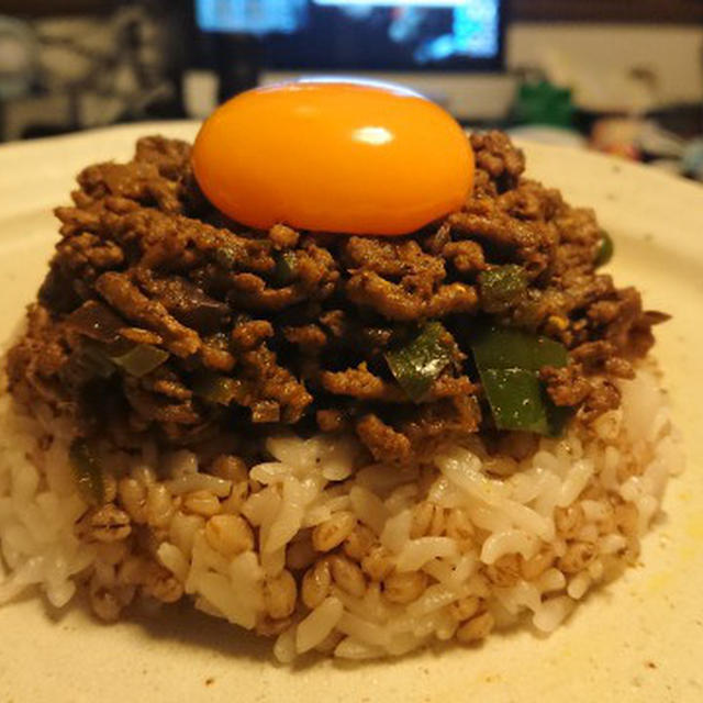 野朗飯流・ナスとピーマンと豚挽肉のドライカレー