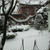 お料理を作っていただきました☆ありがとう～☆ペコ地域雪模様