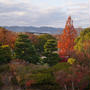 今日の紅葉狩りは西猪名公園#最近撮った写真は
