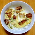 唐揚げ丼～