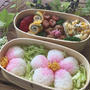 桜おにぎり弁当〜桜でんぶでグラデーション〜