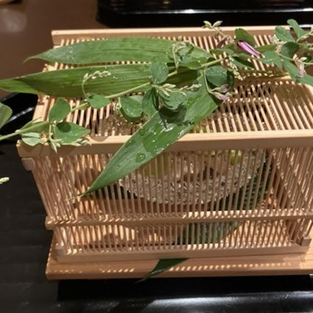 9月の弧玖