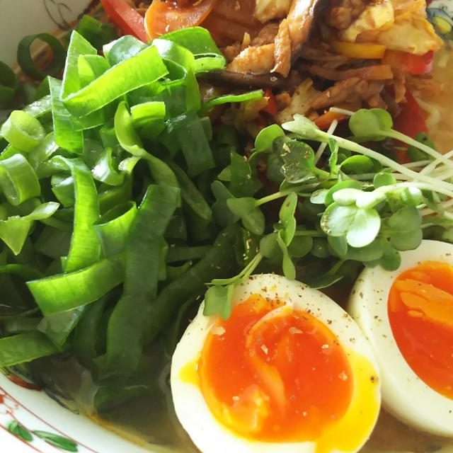 九条葱と甘辛肉野菜の味噌麺