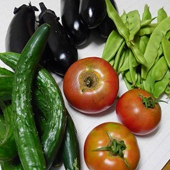 夏野菜がいっぱい！！
