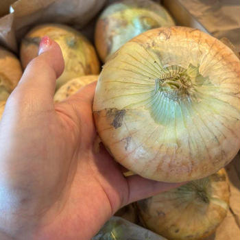 趣味で野菜作り♡地産地消♡美容に嬉しい栄養素が豊富な食べ物