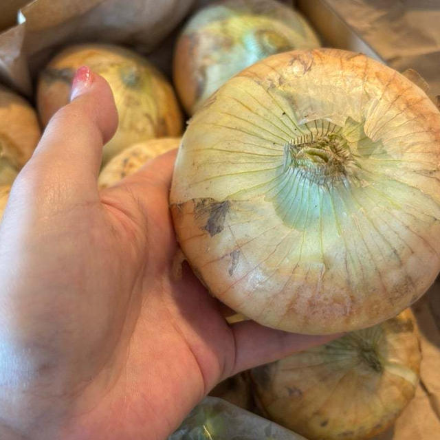 趣味で野菜作り♡地産地消♡美容に嬉しい栄養素が豊富な食べ物