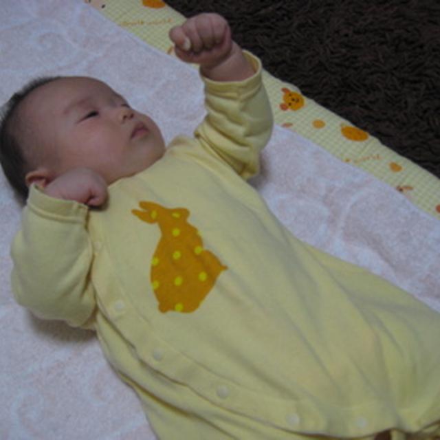 手って何だ？？