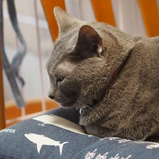 のんびりしたひと時