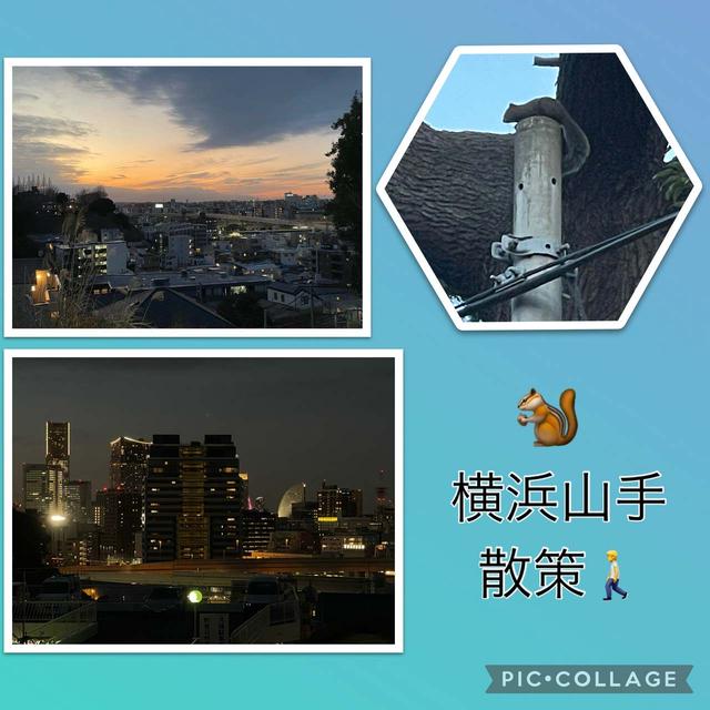 横浜山手散策～夕方～夜景とタイワンリスを発見！！
