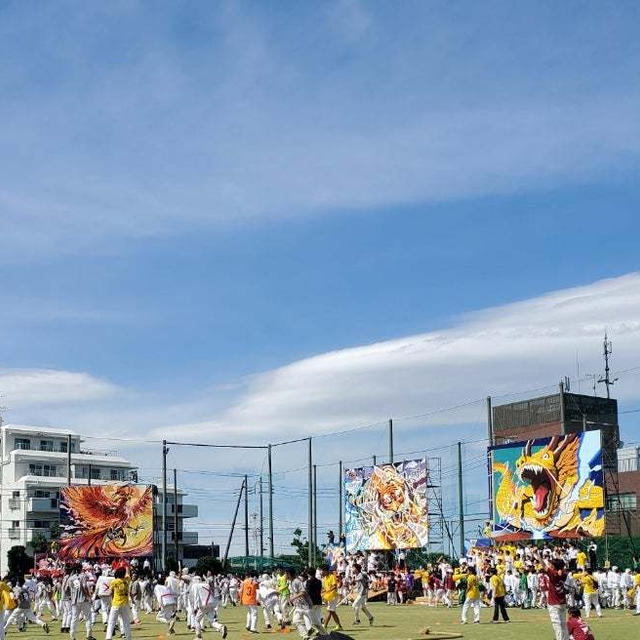 近況とサピオと開成運動会