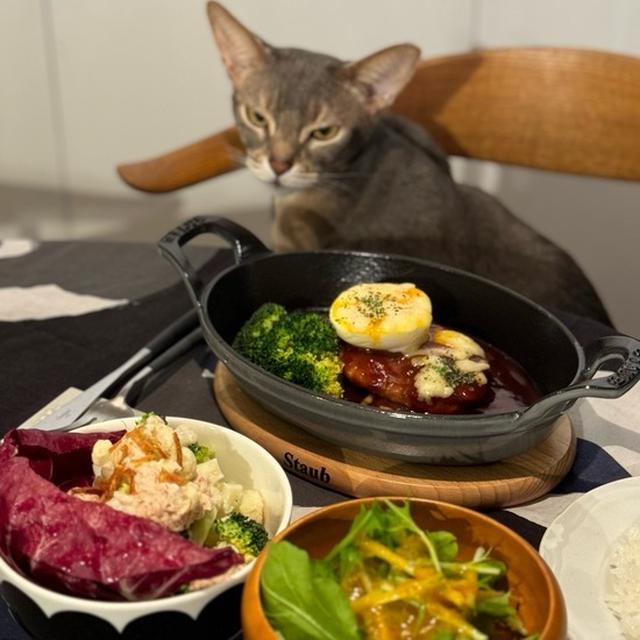 煮込みハンバーグの夜ごはん