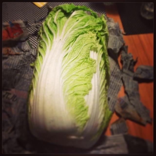 冬野菜祭り。