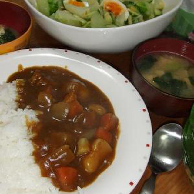 柔らかお肉のカレー