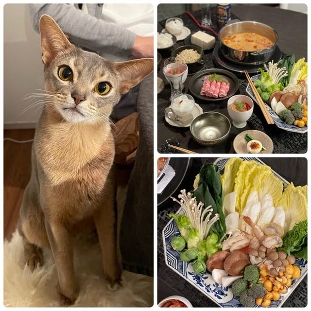 【KALDI】火鍋の素で、たっぷり野菜の火鍋の夜ごはん＆あざとかわいい坊と抱っこ姫