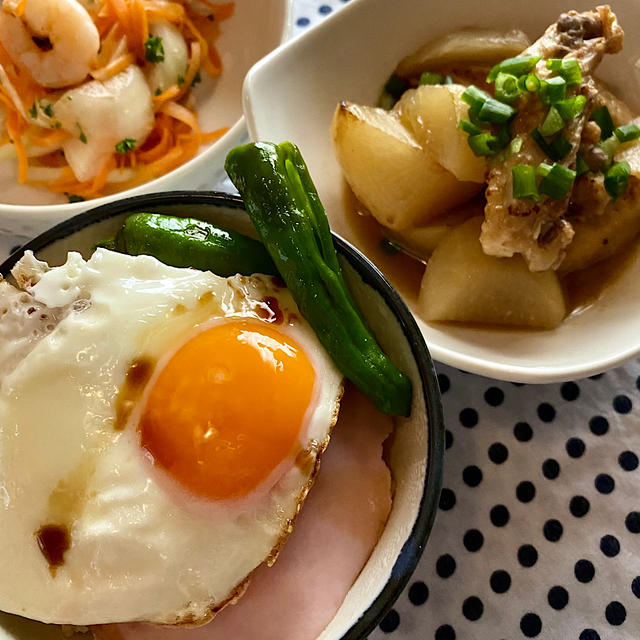手羽中と大根のオイスター煮、カツオのたたき漬け丼