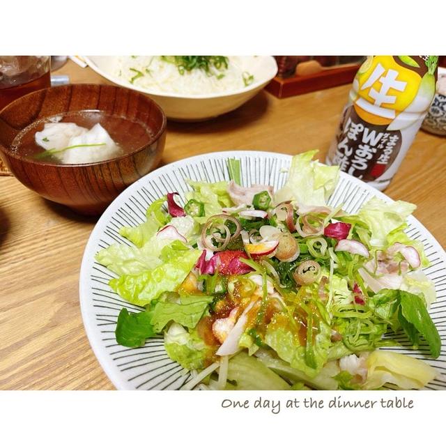 ある日の晩ごはん。