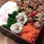 先週＆今週のお弁当(3/17～)