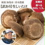 【リピポチ！】画アリ！当たり～。そして1.3キロが在庫復活だけど( ；∀；)ふるさと納税で3000円高還元率の訳あり生椎茸（新潟県加茂市）