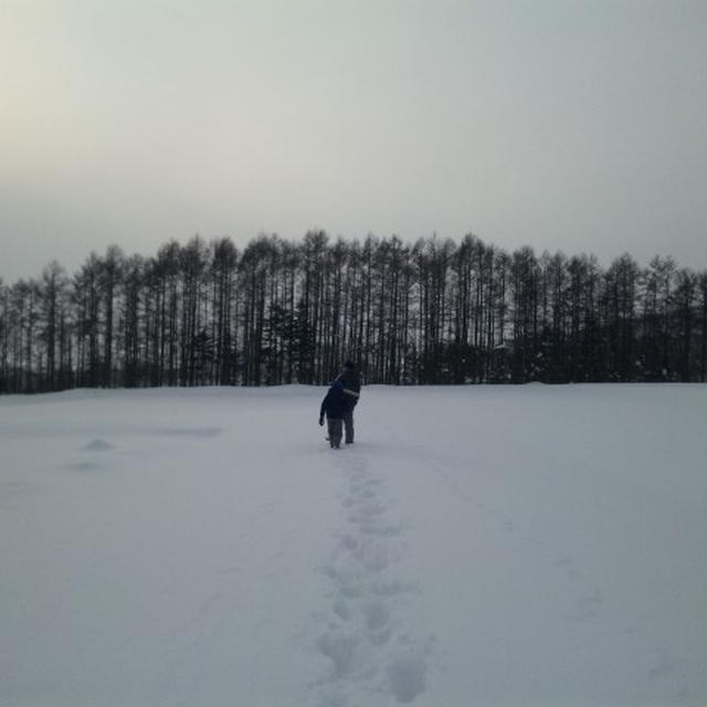 雪の中のお散歩♪　　夕食はきりたんぽ鍋