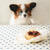 犬用バスク風チーズケーキを作ってみました。