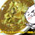 超早★オイルサーディンとキャベツのカレー【缶詰レシピ】
