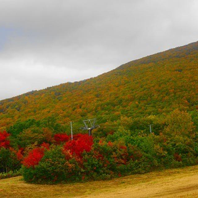 「蔵王の紅葉」と秋の山形で宿の夕食
