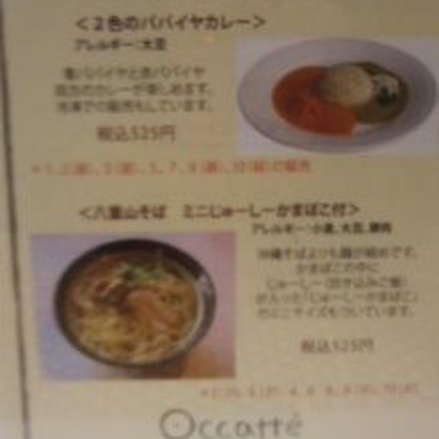 二子玉川ライズ 東急フードショー オカッテでワンコインランチ
