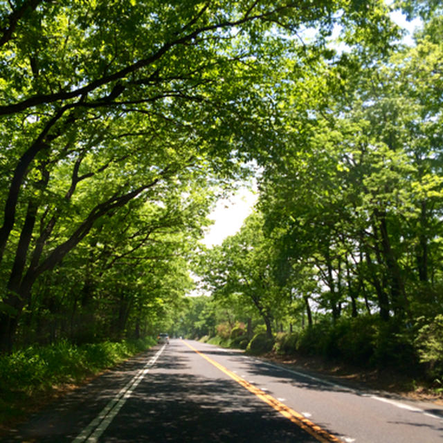 那須高原で温泉旅行♪